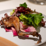 レストラン オオツ - 2023.11 ランド産鳩腿肉とハーブサラダ