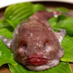 レストラン オオツ - 2023.11 那珂湊産アカドンコ