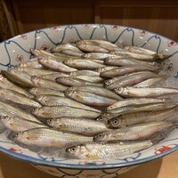富小路 やま岸 - 