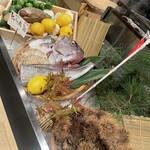 Robata Tomoakimaru - 