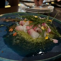 シャイニーアウル 表参道 - 