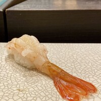 おたる政寿司 銀座 - ボタン海老