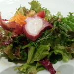 モダンカタランスパニッシュ ビキニ - 【2013年11月】