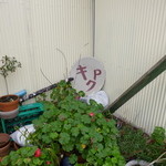 2013.11 駐車場も素朴です。