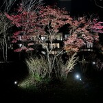 日本料理 新樹 - 