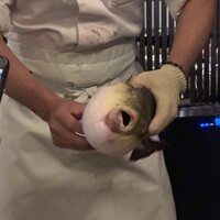 ふぐ御料理處 でん - 