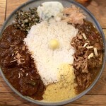 ハルダモンカレー - 2種盛りカレー