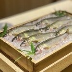 橦木町 しみず - 