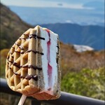 スカイテラス伊吹山 - 春夏秋冬 伊吹山ワッフル 700円