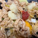 名物すた丼の店 - すた丼730円