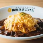 ハヤシオムライス