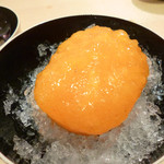 新和食 元永 - 柿アイス