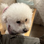 サッカバッカ - スーパーシロみたい？なＰＵＡちゃん