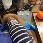 アガリコ 新宿 オリエンタルビストロ - ぐったりしてるｗ