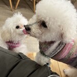 サッカバッカ - (*´ε`*)ﾁｭｯﾁｭ