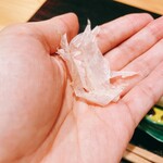 御料理 まつ山 - 荒節