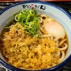 おどるうどん - 温玉ぶっかけうどん【温】(税込500円)
つゆは鰹節&鯖節&熬子《いりこ》と昆布で引いた出汁に醤油(香川県琴平の醸造元)を加えているそうです