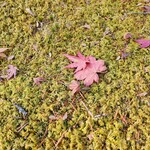 クレソン リバーサイド ストーリー 旧軽井沢 - 