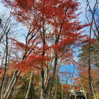 クレソン リバーサイド ストーリー 旧軽井沢 - 