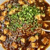 Ryuuhou - 麻婆豆腐あんかけ焼きそば　