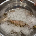 渋谷 天婦羅 ふじもと - 