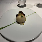 レフェルヴェソンス - 蕪