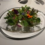 レフェルヴェソンス - アルチザン野菜58種類のサラダ