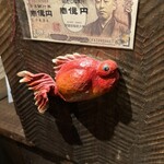 福島金魚 - 