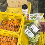 ヨコクラうどん - 