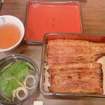 Unagi Hashimoto - 