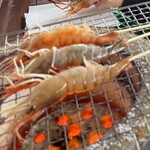 Shrimp Park - 