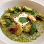 カーザ ヴィニタリア - 