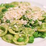 ラ スフォリーナ - パスタランチ 1100円 の菜の花のソースのオレッキエッテ