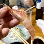 魚市場 小松 - 生エビリフト