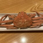 居酒屋 ほがら家 - ずわい蟹