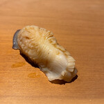 すし幸徳 - ホッキガイ