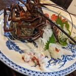 みなみ丸 合歓 - 