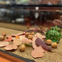 ラトリエ ドゥ ジョエル・ロブション - 