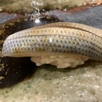 江戸町 すぎもと - 