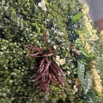 チーズの海に溺れたい - 