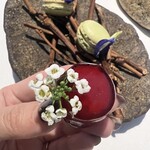 ラ・ヴァガボンド - 