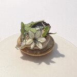 ラ・ヴァガボンド - 