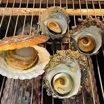 Turban shell