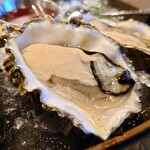 All Water Seafood & Oyster Bar - Sunseeker (BC)