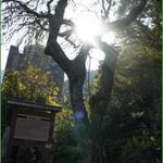 神戸ビフテキ亭 - 