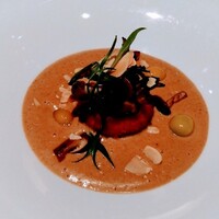 THE COSMOPOLITAN GRILL BAR TERRACE -  THE COSMOPOLITAN GRILL BAR TERRACE -