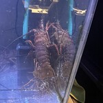 鉄板焼 ステーキ 北野坂 - 伊勢海老