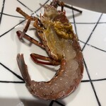 鉄板焼 ステーキ 北野坂 - 生簀からいらっしゃいませ(^^)