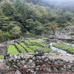 和牛焼肉DAMONDE - 