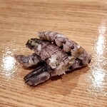 おすし 花富 - シャコ　オスとメス